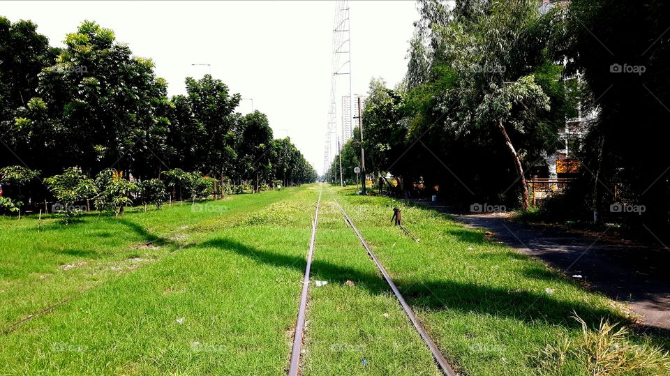A green train rail track.
