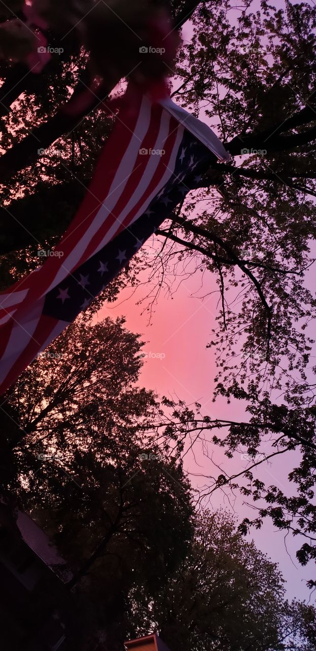 Tree, Flag, Patriotism, Landscape, Sky