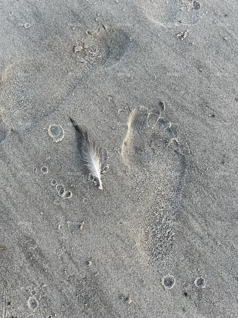 Footprint