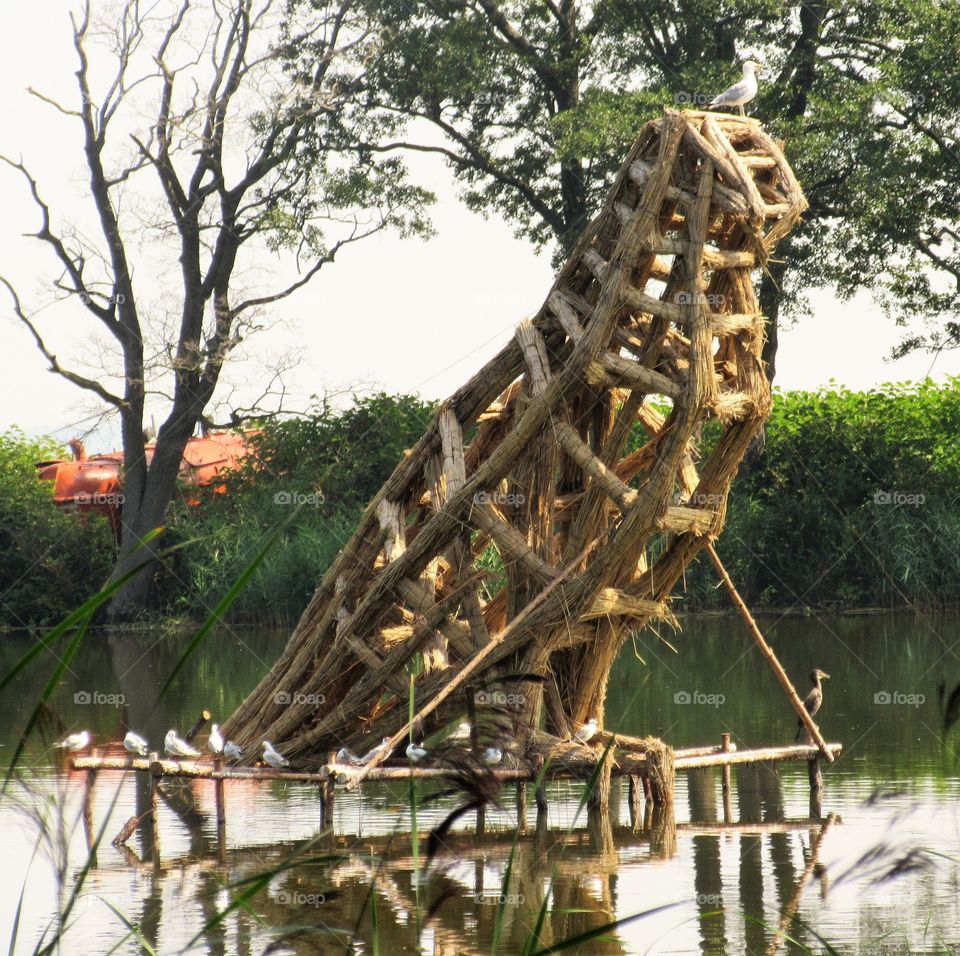 nature sculptures in the Lithuania Neringa