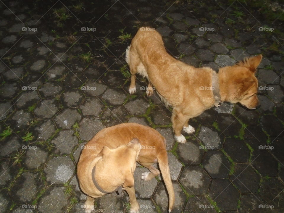 #A little bit of everything #Various things #Viralizing