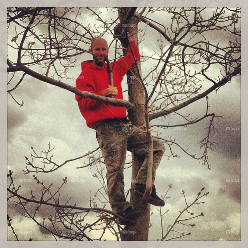 Tree climber