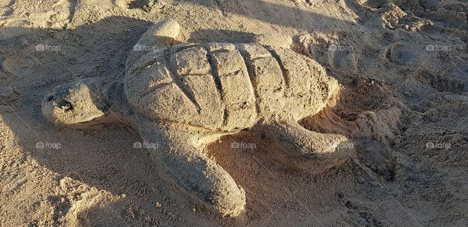 sandmade turtle