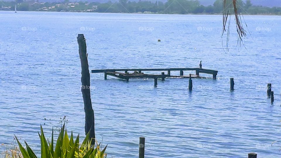 lindo lago Paranoá, com uma garça espetacular.