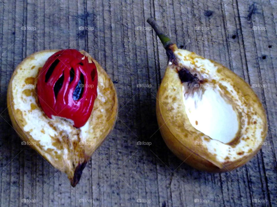 Nutmeg seeds (homegrown)