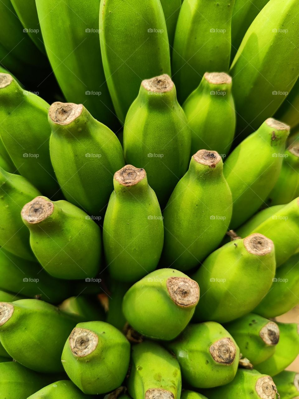 Green Banana