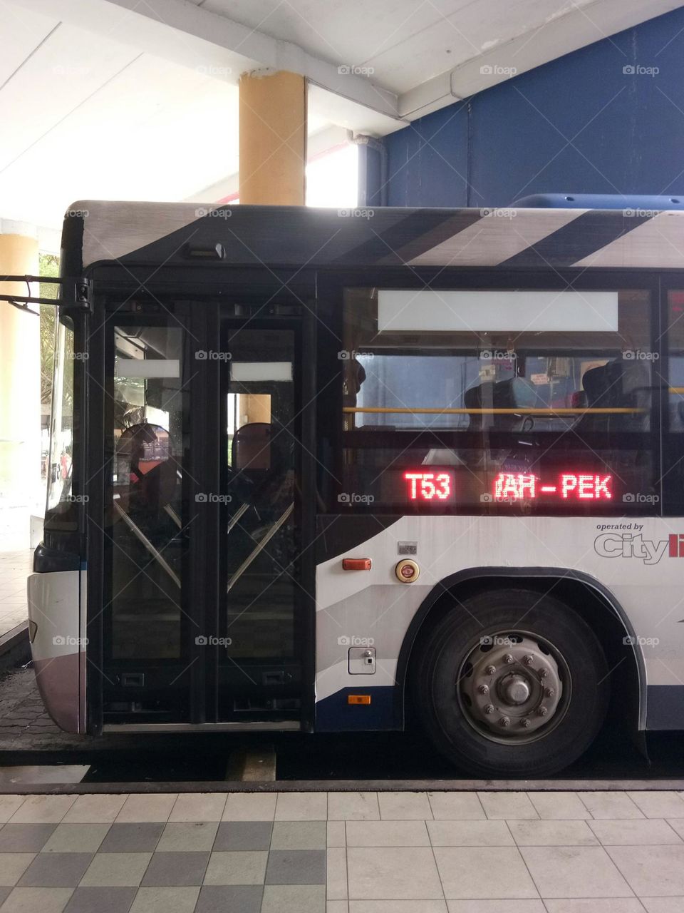 Community service : public transportation