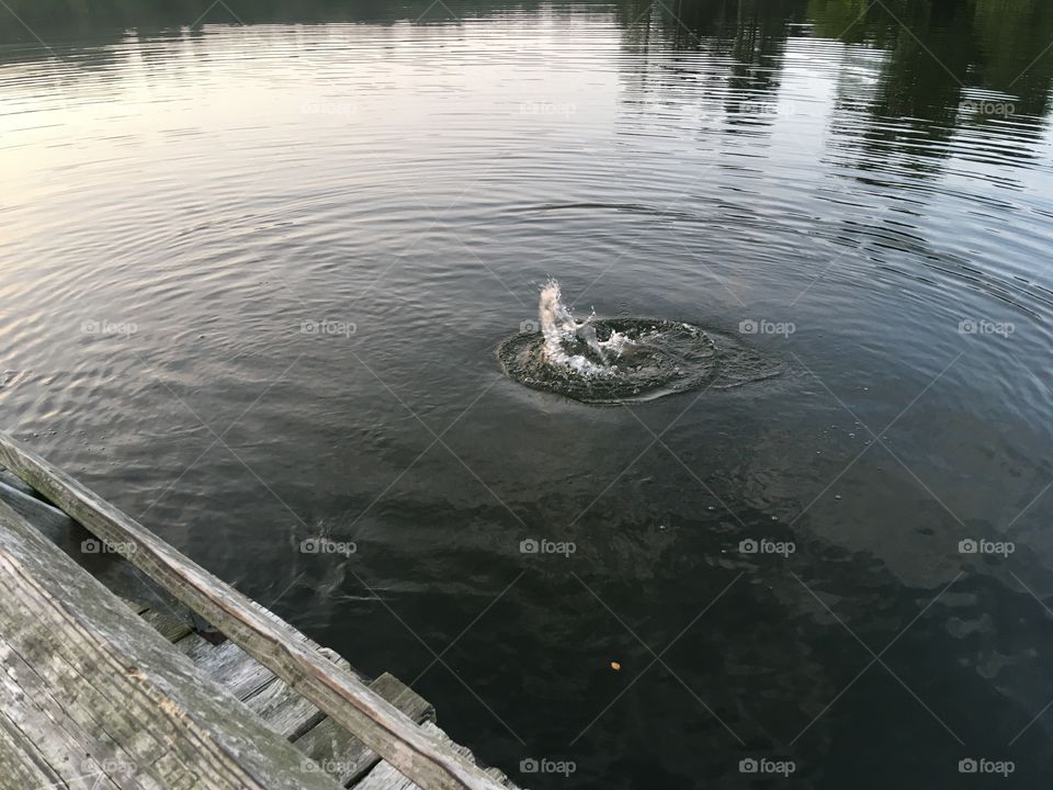 Sitting on the bank or dock all day long fishing. Being by the water is so relaxing!
