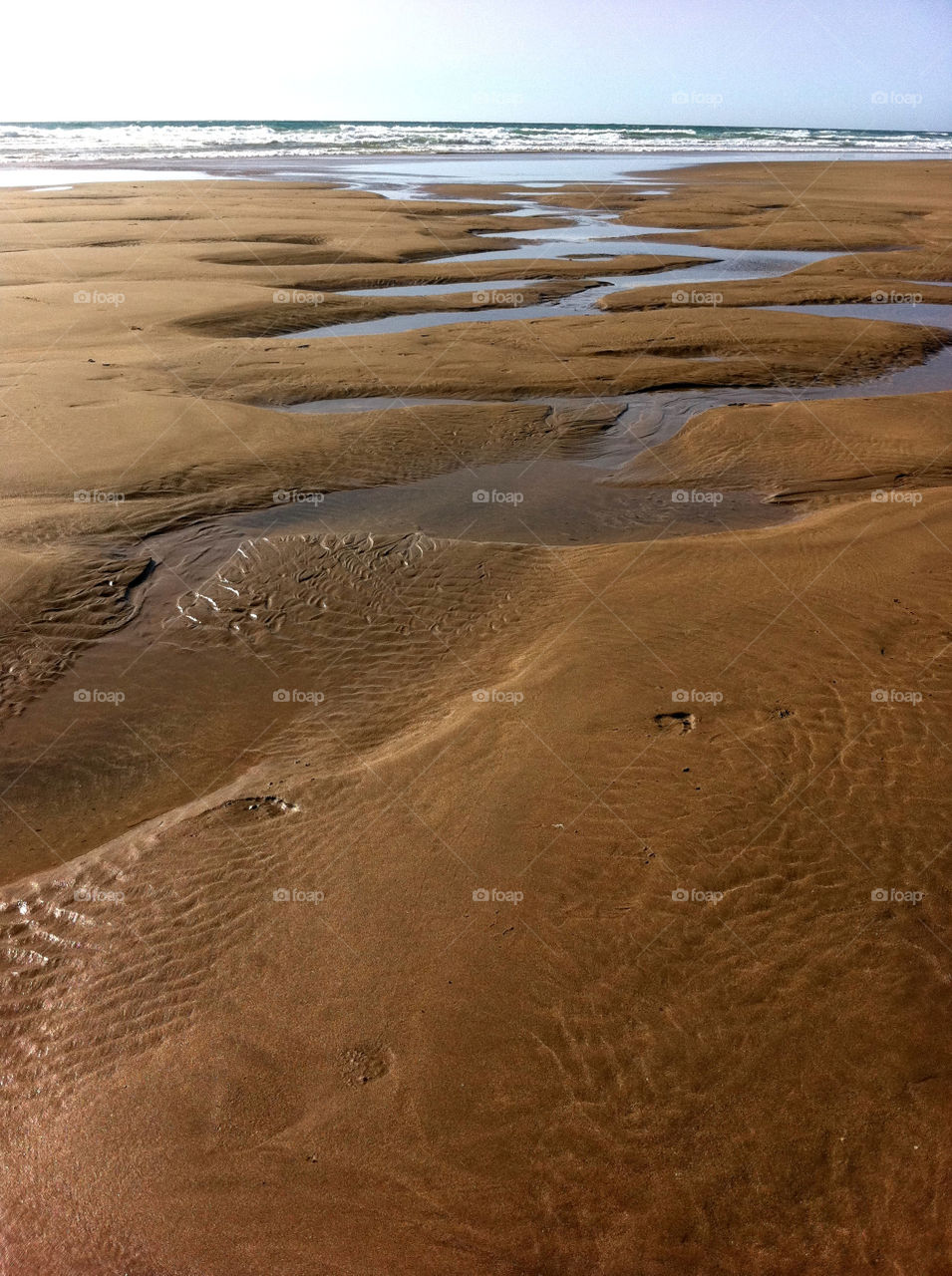 beach brown sea sands by magmovies