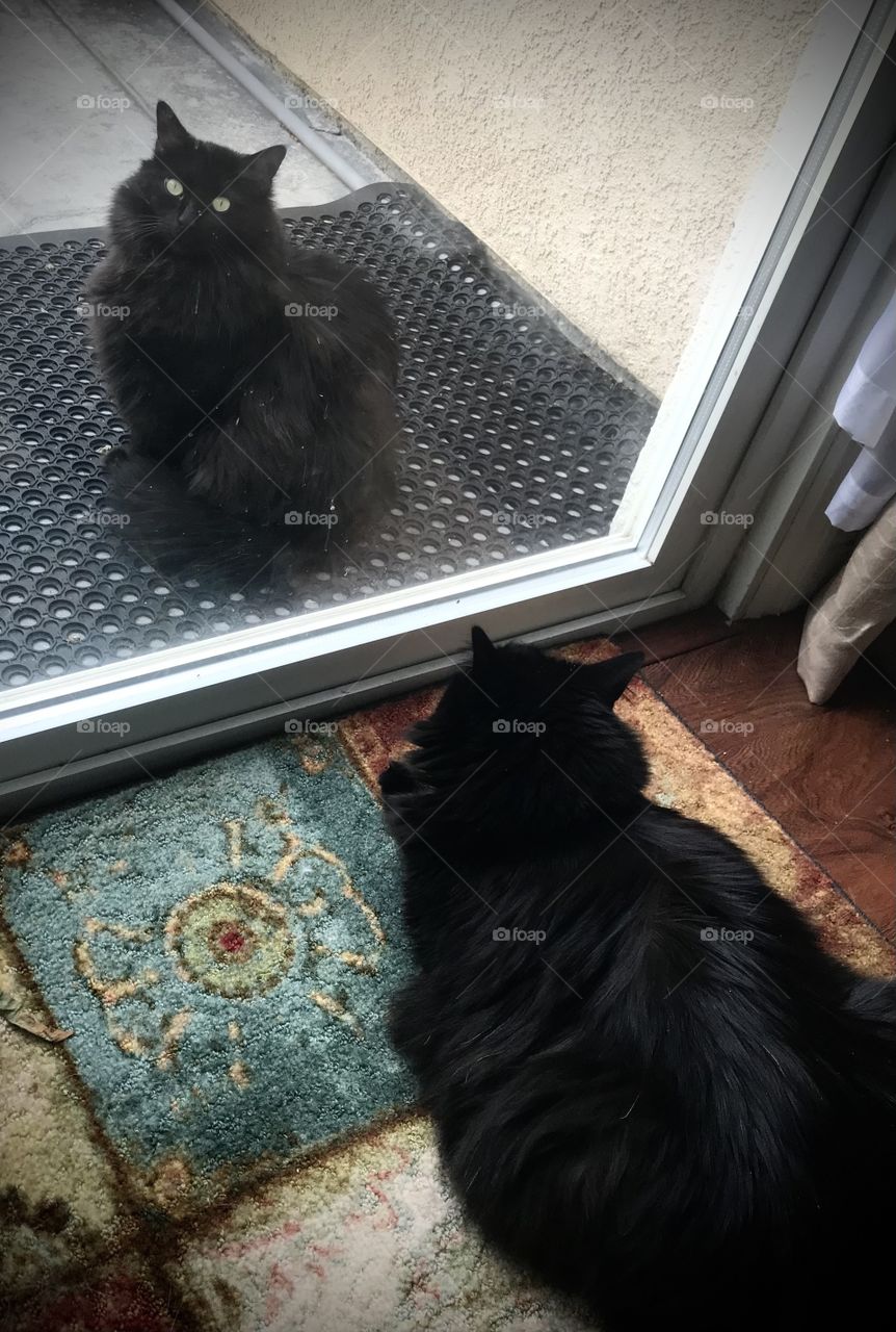 One wants in, one wants out