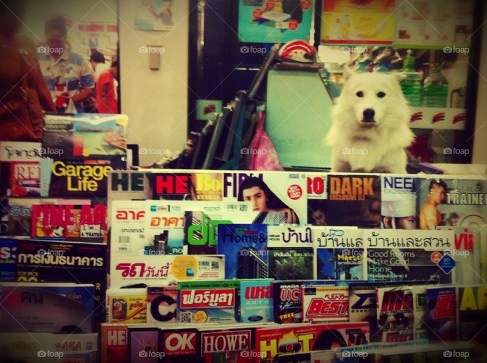 The most cutest book seller