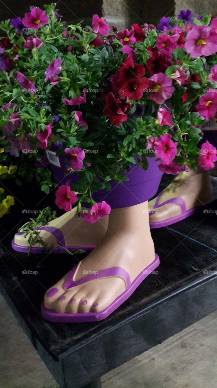 Flip Flop Planter Flowers