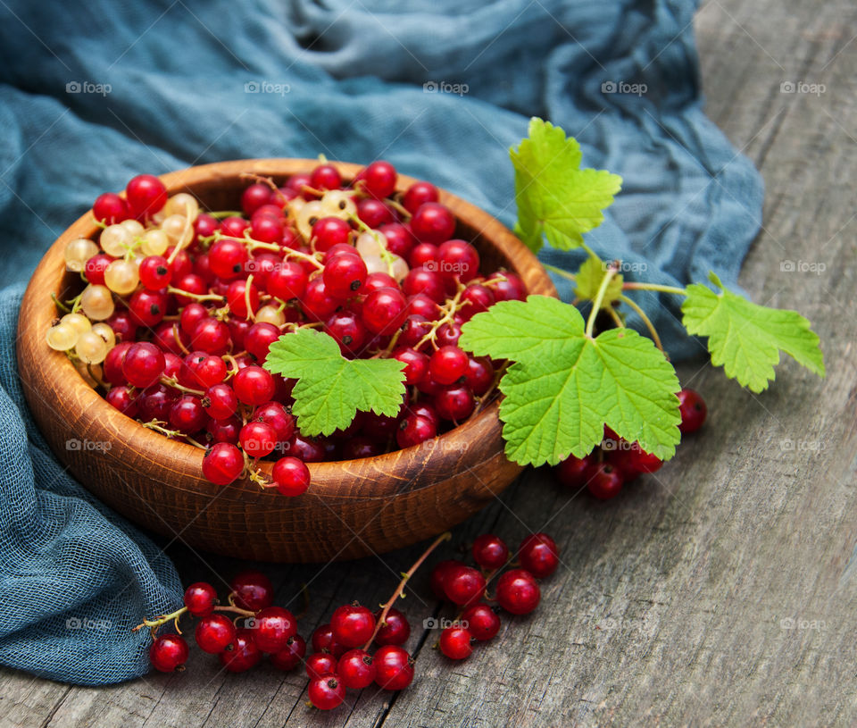 Red currant 