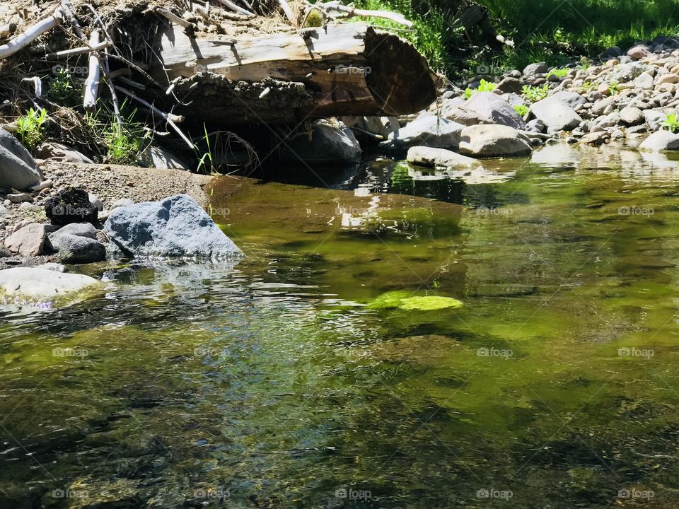 Clear stream in the spring 
