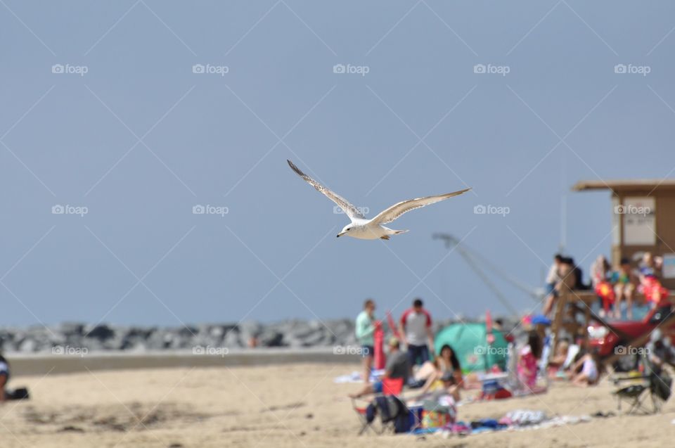 Day at the beach