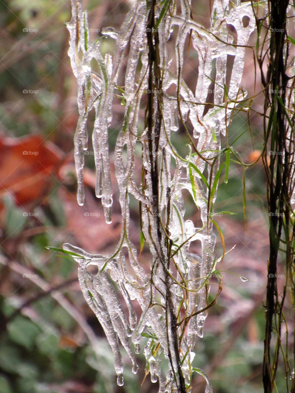 on a cold and frosty day