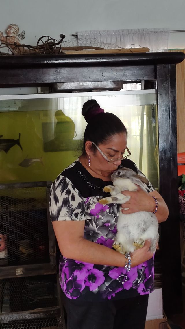 Life with Pets