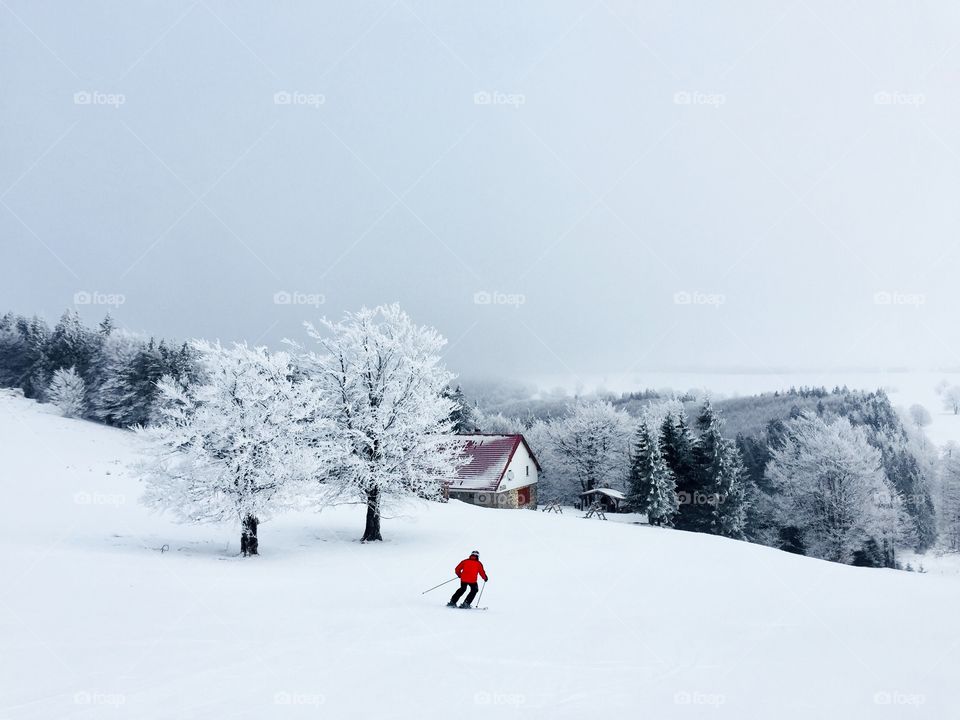 Skier in red jacket going down the slope with trees covered in snow and an only house in the background