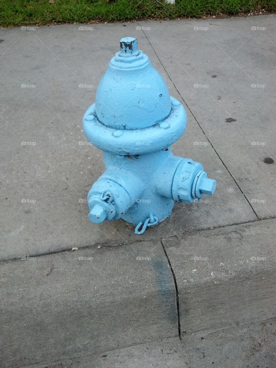 Blue Fire Hydrant
