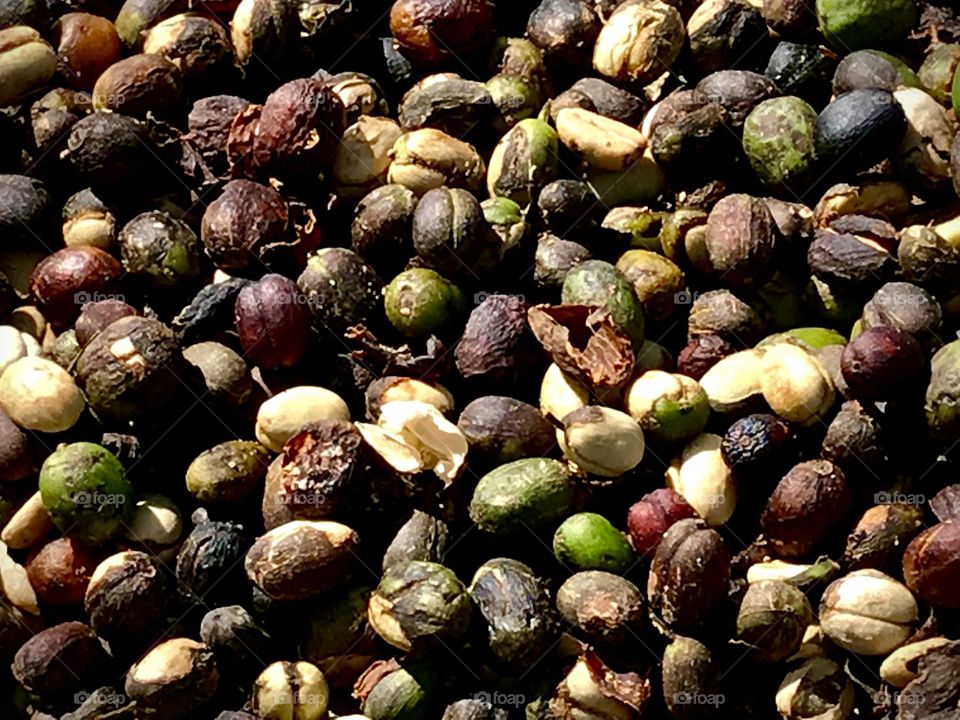 Drying Coffee Cherries With Pulp, Brazil