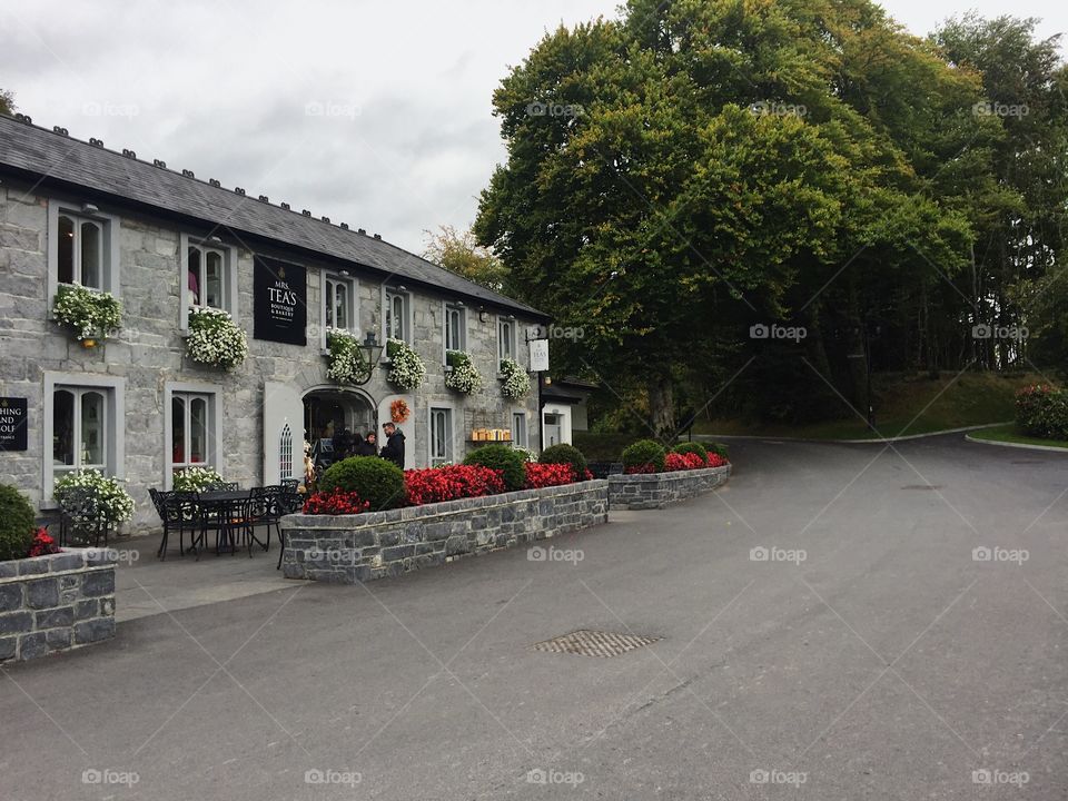 House, Home, Architecture, Building, Street