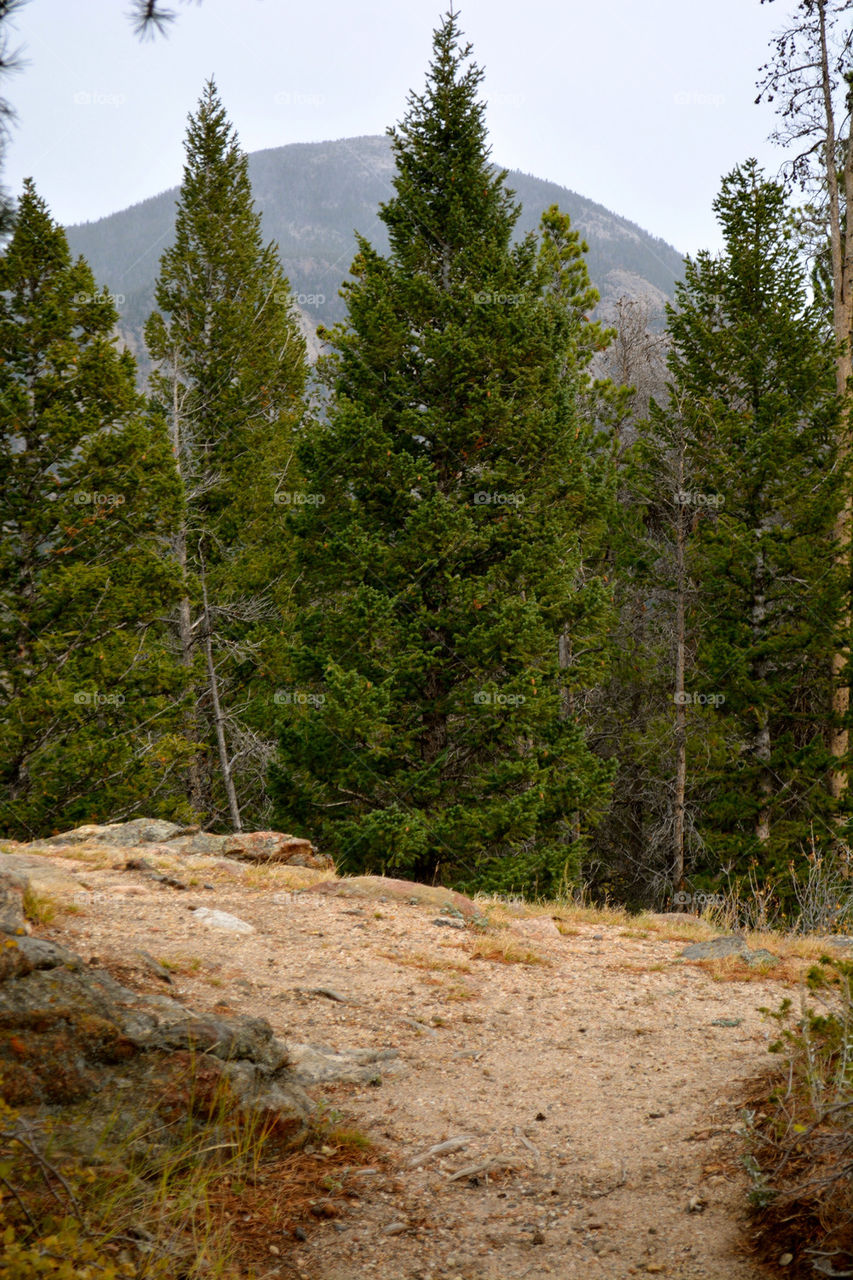 RMNP