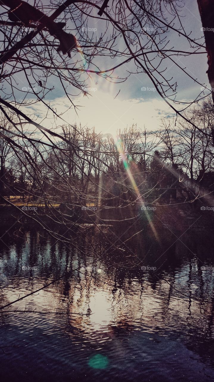 Illuminating Sun Rays