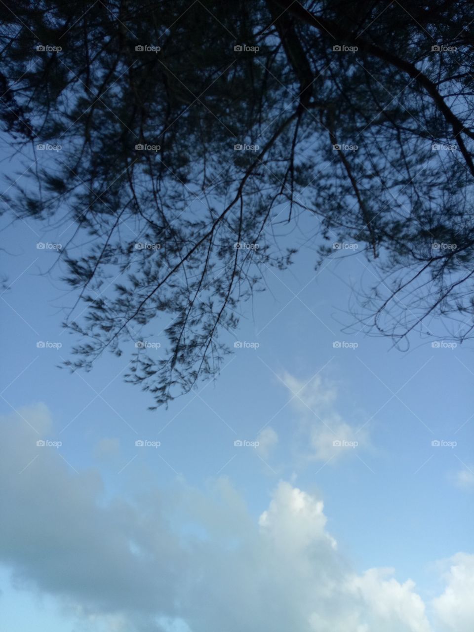 sky