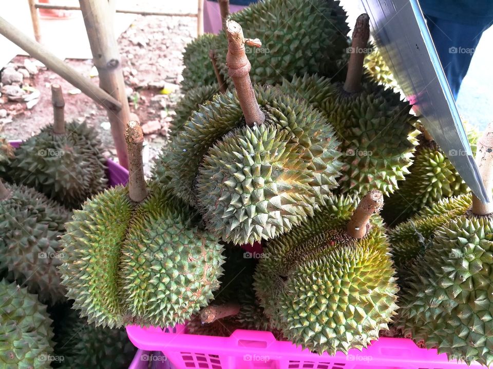 Famouse of Thailand Fruit sush as Carunda or Karonda , Durian ,Malberry, Plam candy