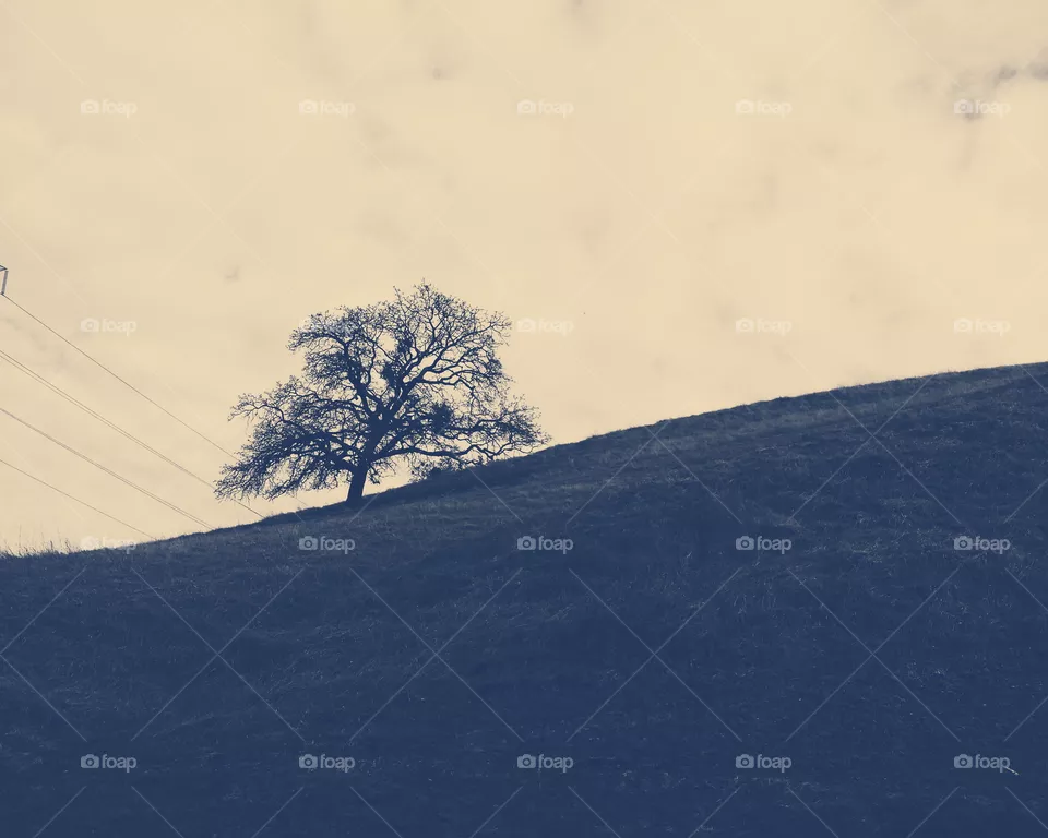 alone