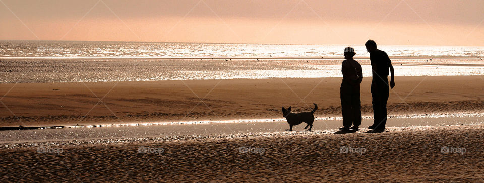 Evening on the beach. Golden hour at Camber Sands, England