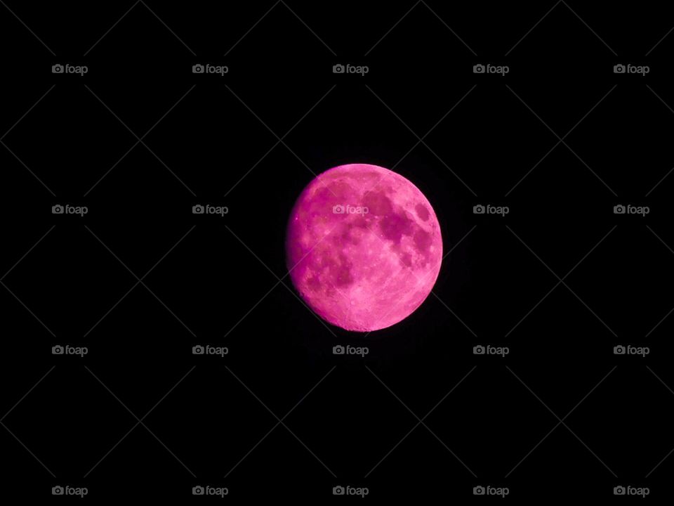 Pink moon 