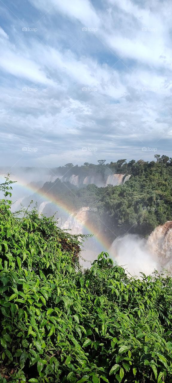 argentinian landscape