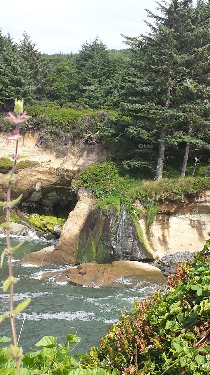 Boiler Bay Oregon Coast Waterfall