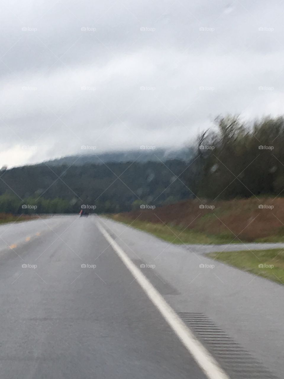 Fog hanging over the trees after yesterday’s rain. Cloudy and foggy early morning.