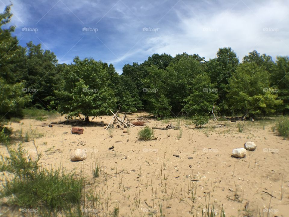 Landscape, Tree, No Person, Nature, Outdoors