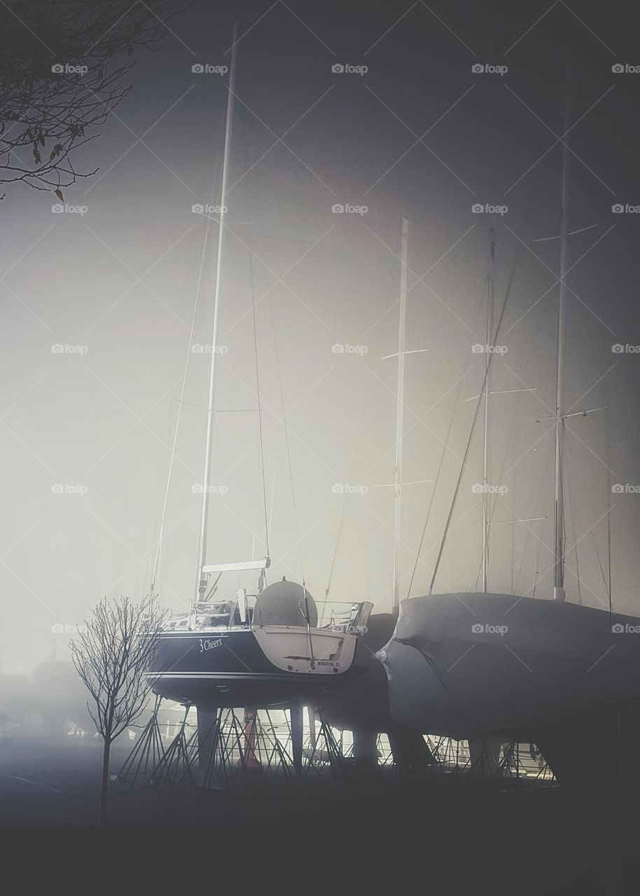 Foggy evening at the harbour 