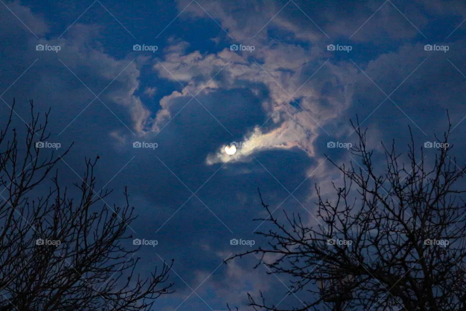 Moon