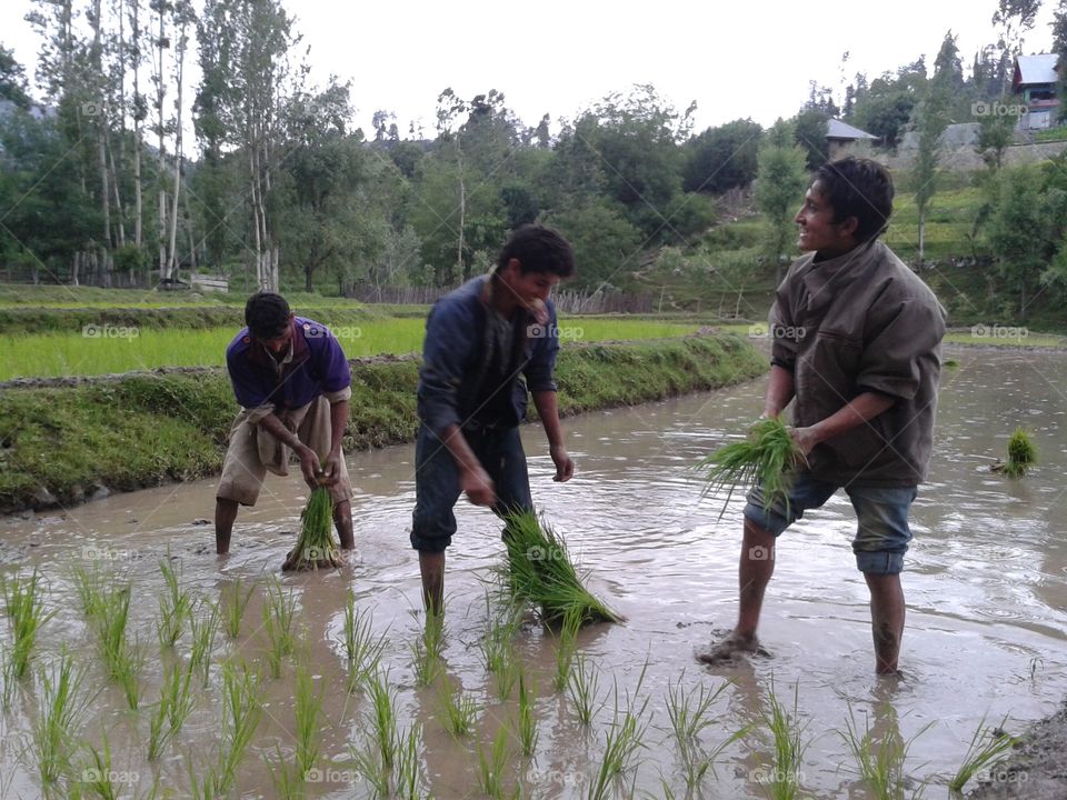 happy farmers