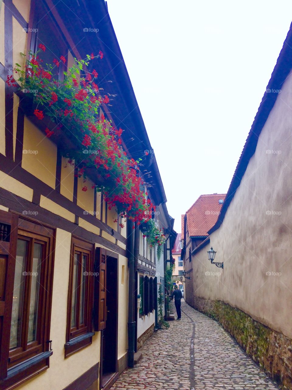 A street in Erfurt 