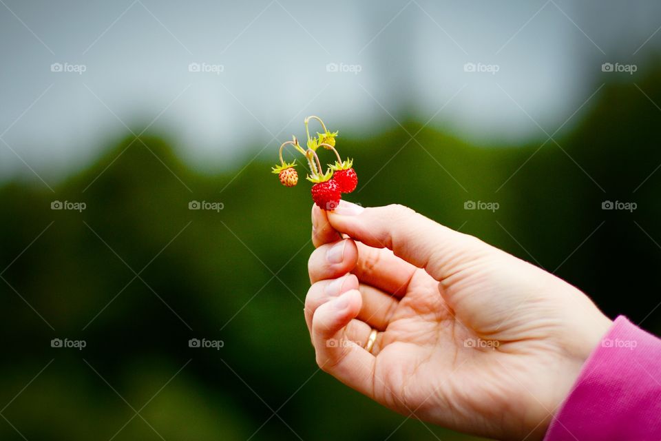 Strawberries in hand