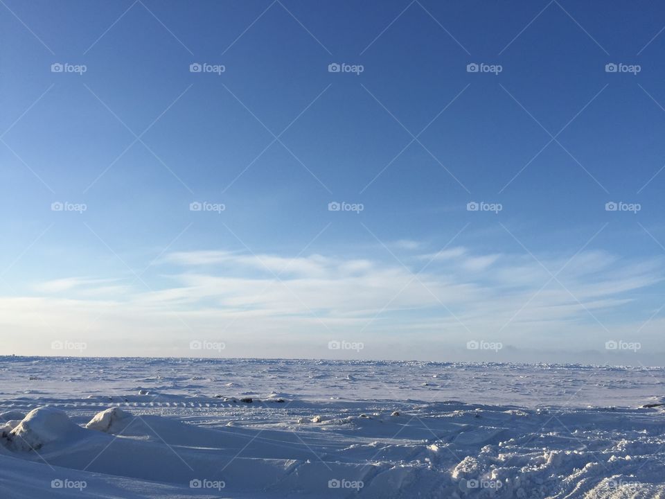 Arctic Landscape 