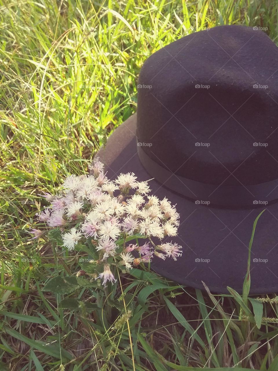 O chapéu de sempre e as flores do campo