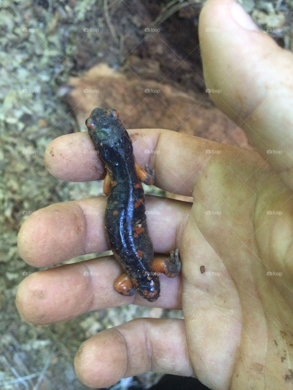 I will call you squishy 