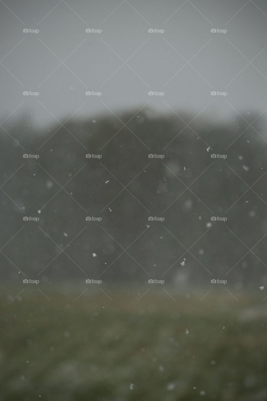 Snow flakes across the field and trees.