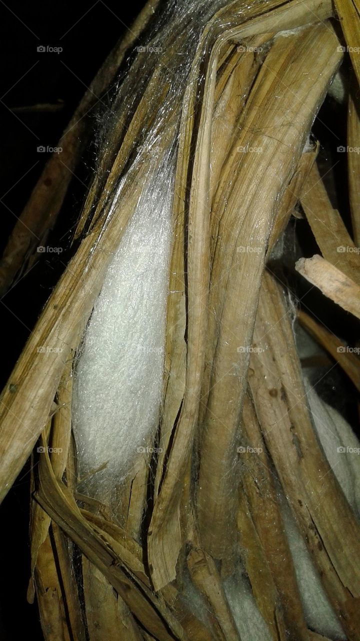 natural silk thread which can make beautiful pure silk clothes