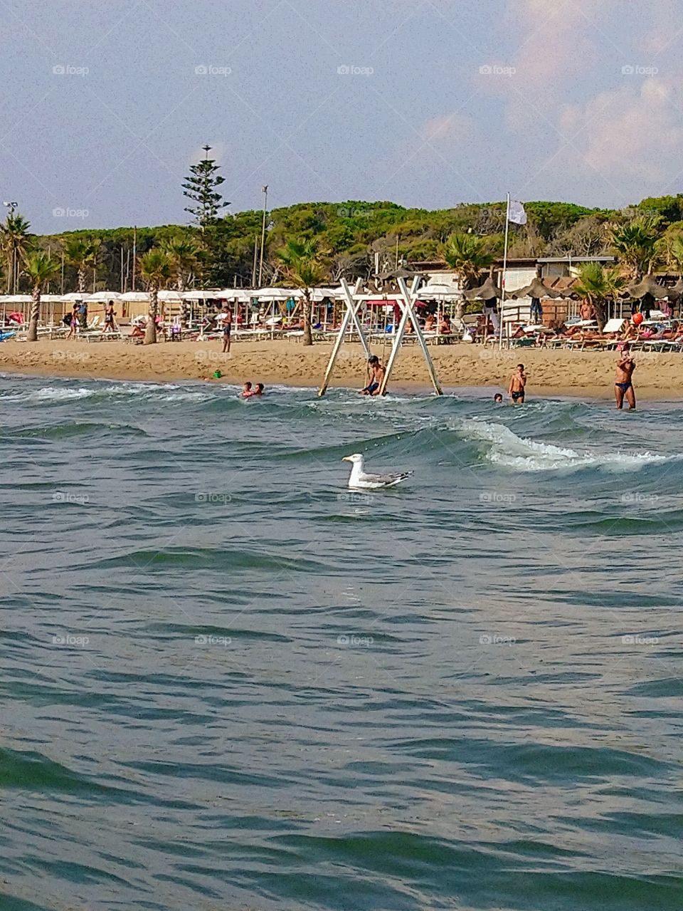 Sea, beach, water, summer