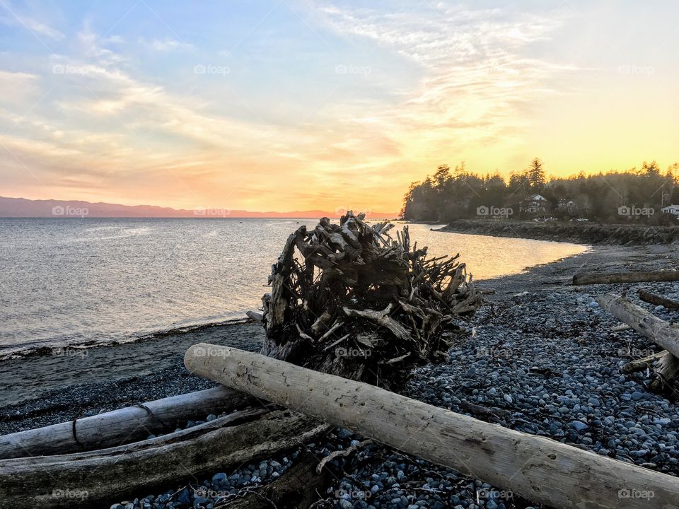 Logs on the beach, Whiffin Spit, Sooke, Vancouver Island, Canada. 