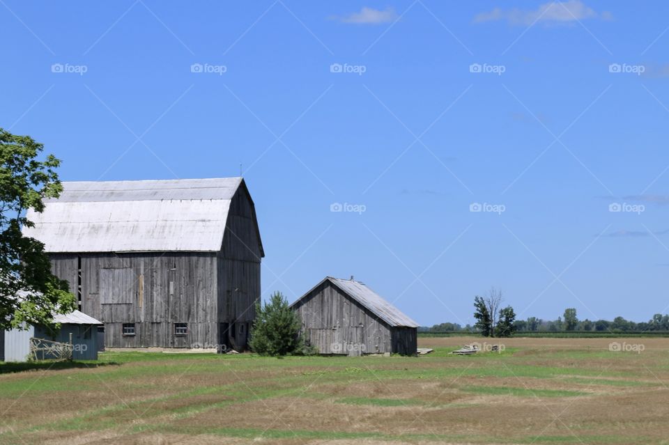 Barn