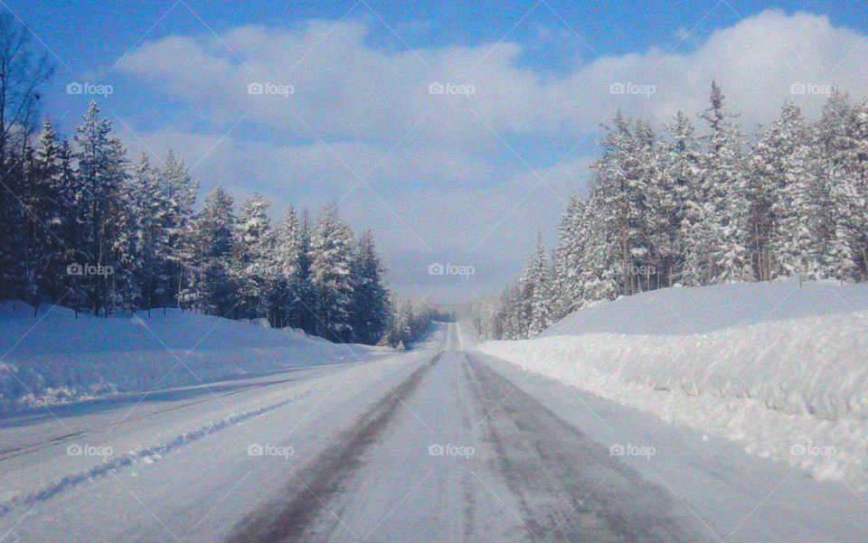 snow winter sky trees by MagnusPm